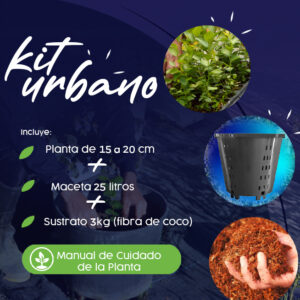 1 KIT planta + maceta 25 litros + sustrato