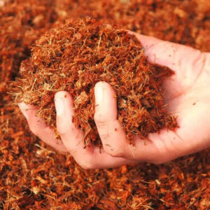 Sustrato (fibra de coco)